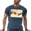 Creazione di Adamo T-shirt T-shirt per Unisex T-shirt Unisex 100% Cotone Brand di Lusso T-shirt per Unisex Maglietta in Cotone