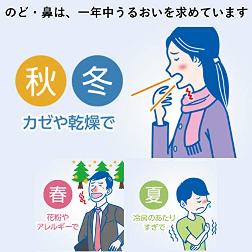 Panasonic Steam Inhaler, Approximately 43°C Steam, Throat and Nose Care, White, EW-KA65-W