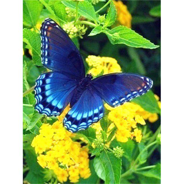 DIY 5D Diamond Painting Butterfly Full Round Drill Diamond Embroidery Flowers Cross Stitch