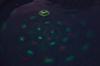 Floating Led Light #58419