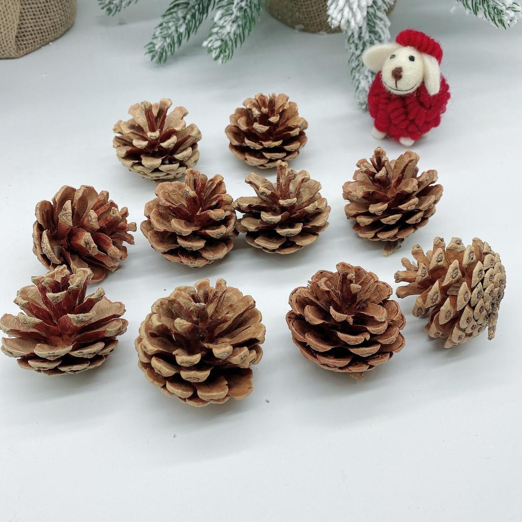 Natural Dried Pine Cones for Christmas Tree Decoration, Photography Props, Floral Wreaths, and Bouquets.