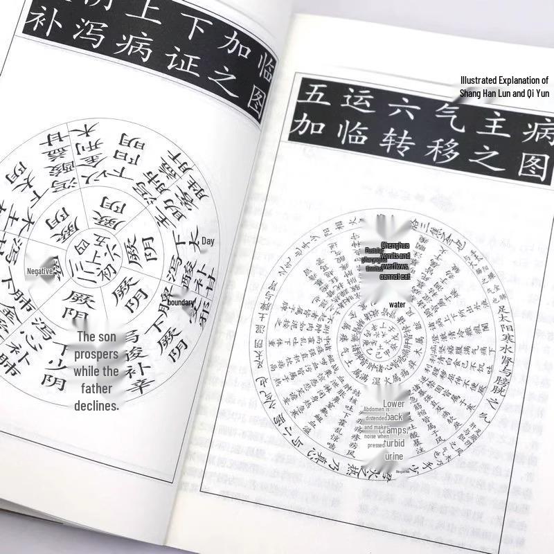 Complete 3-Volume Set: Renowned Medical Works from Tang, Song, Jin, Yuan Eras — Featuring Zhang Yuansu, Xu Shuwei, Cheng Wuji