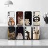 F-Funny C-Cat C-Cute Phone Case For Samsung Galaxy A73,A72,A71,A70,A53,A52,A51,Others Soft Black Cover