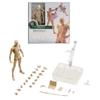 Action Figure Drawing Model Artists Gift Abs Human Mannequin Kit Men Bjd Women
