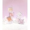 Prism Highlighter Single   Planning Set