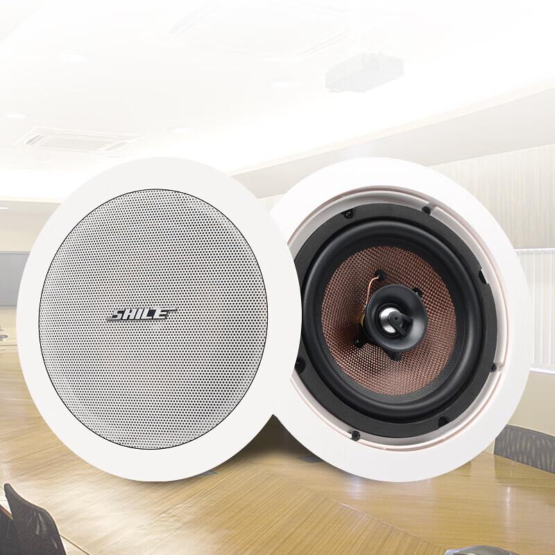 Shile AV8820+BX206 Ceiling Speaker System (CN version)