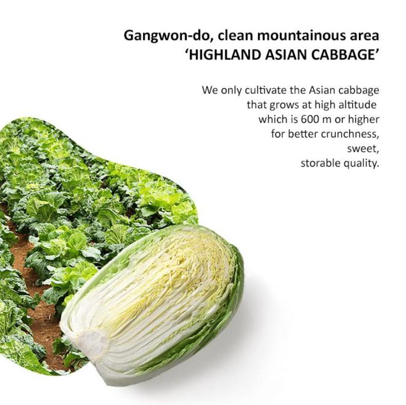 Omori Kimchi Jjigae Large Cup Noodles 150g | Authentic Korean Instant Meal