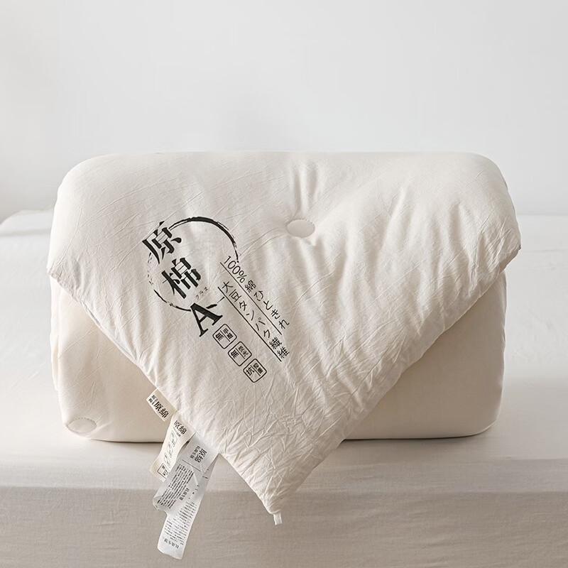 Premium Cotton Soy Fiber Winter Quilt