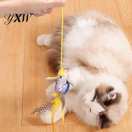 Interactive Cat Toy Chirping Bird Simulation Electric Touch Activated Friendlier Prey Plush Teaser for Indoor Cats And Dogs Flapping Wings