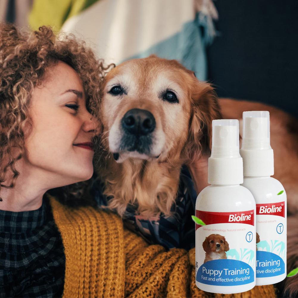 dog discipline spray