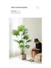 Large Luxury Faux Livistona Flower: Indoor Green Plant Floor Decoration