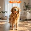 Rubber Dog Sound Ball Interactive Squeaky Dog Toy Easy To Clean Dog Chew Toy  Indoor Play