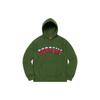 Supreme Icy Arc Hooded Sweatshirt SUP-FW20-004