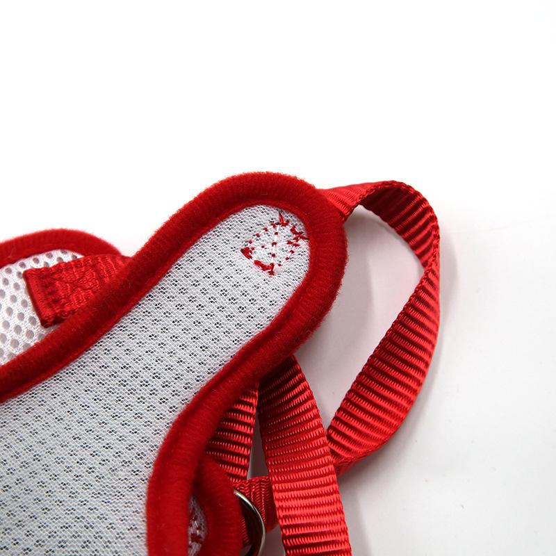 Pet Supplies: Cat & Dog Leashes and Formal Wear for Teddy, Bichon, Schnauzer.