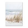 Nordic Posters Reed Dandelion Dolphin Sea Beach Flower Wall Art Canvas Painting And Prints Wall Pictures For Living Room Decor
