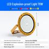 70W Round Explosion-Proof Outdoor Floodlight