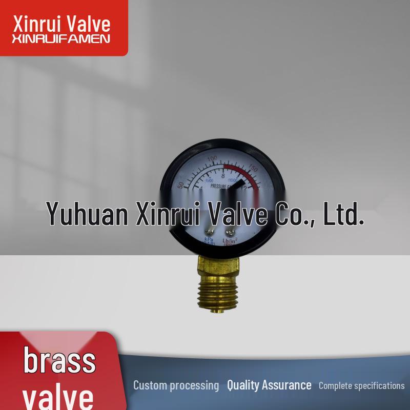 Adjustable Brass Pressure Reducing Valve with Filter & Anti-Leak Relief for Tap Water