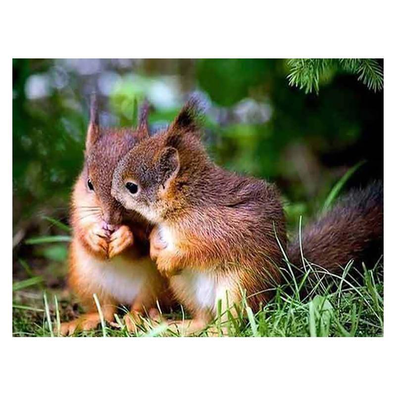 5D DIY Diamant Malerei Holz Eichhörnchen Diamant Mosaik Diamant Stickerei Volle Set Kreuz Stich Kits Home Decor Geschenke
