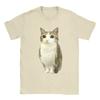 Cool Funny Meowl Cat Meme TShirt for Women Crewneck T Shirt Short Sleeve Tees Classic Clothing Aesthetic Y2K Funny Clothing