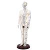 52cm Acupuncture Model 360 Degree Rotatable Arms Acupoint Body Model for Student Teaching Demonstration White Men