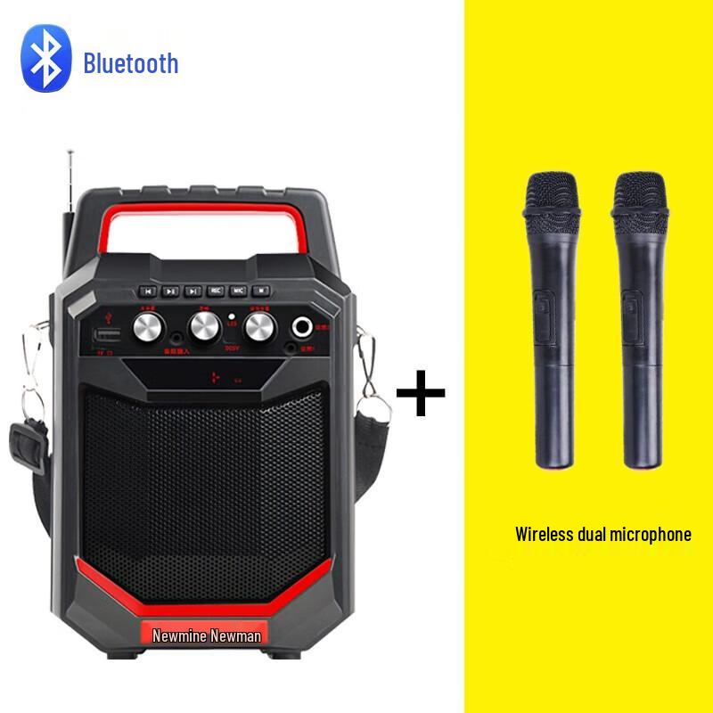 Newmine K66 Portable Bluetooth Speaker with Wireless Microphones