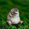 Handmade Little Crocodile Tea Pet, Boutique Ceramic Ornament for Tea Ceremony Decor & Gift