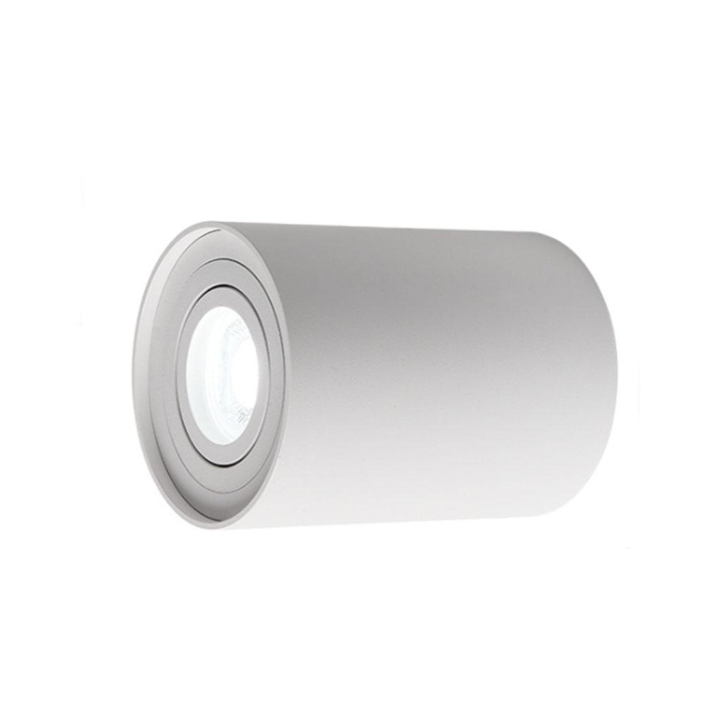 LED Ceiling Lamp Angle Adjustable Light for Living Room Background Porch Hallway Warm White Light