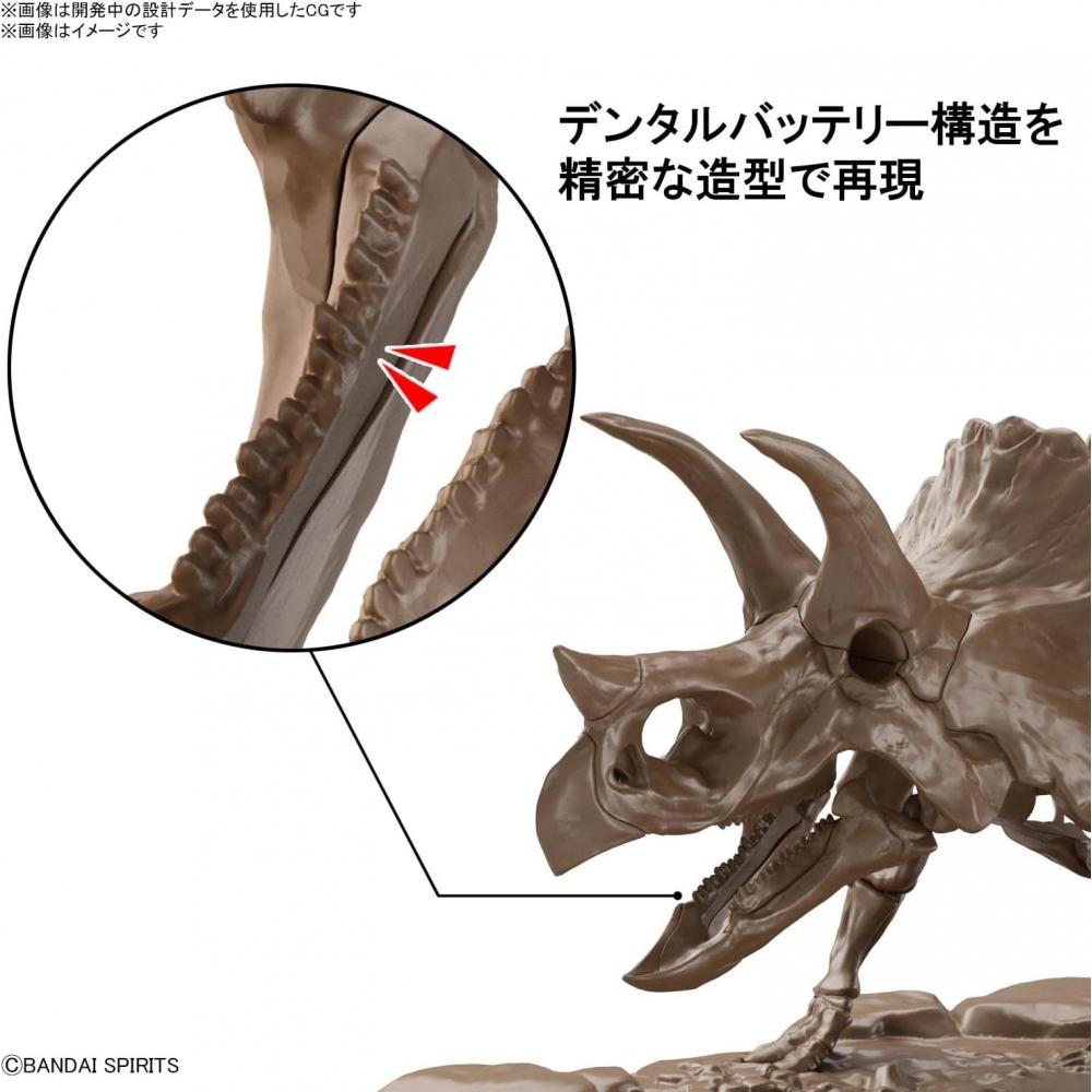 Bandai Spirits  Bandai Spirits  Imaginary Skeleton  Imaginary Skeleton  Triceratops 1 32 Scale Plastic Model