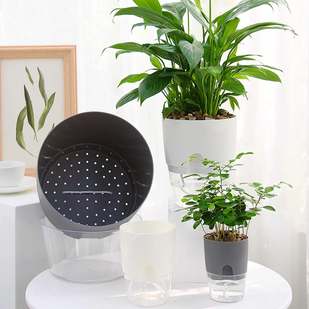5Pcs Self Absorbing Transparent Flowerpot,Inner Air Hole, Prevention of Plant Root,Office, Hotel, Home Decor