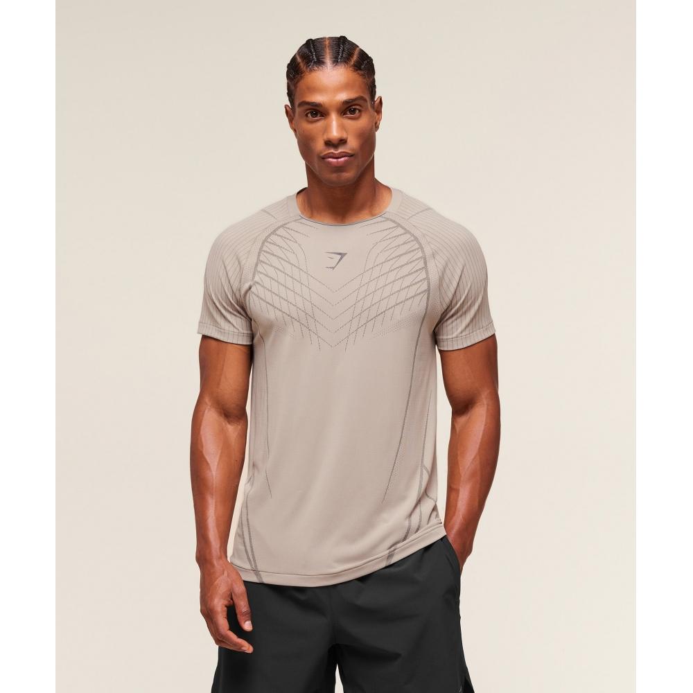 Gymshark Apex Seamless T shirT Mushroom Grey piTch Grey A2b3s gdmT