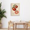 Canvas Print, Fruit Vintage Tomato