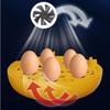 Egg Incubator Hatcher Machine Educational Experiment Practice Temperature Control Chicken