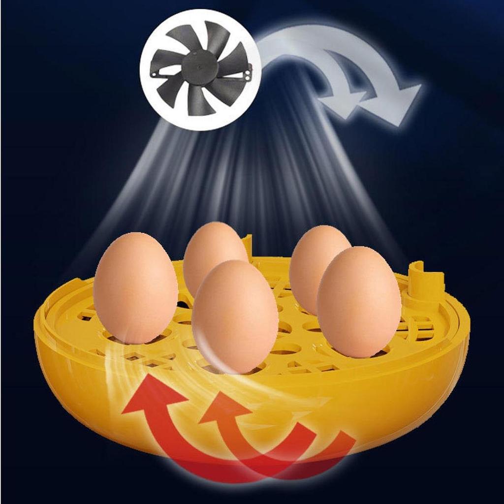 Egg Incubator Hatcher Machine Educational Experiment Practice Temperature Control Chicken