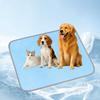 Breathable Pet Cooling Mat Cool Ice Silk Ice Pad Blankets Durable Sleeping Pad  for Dog Cat