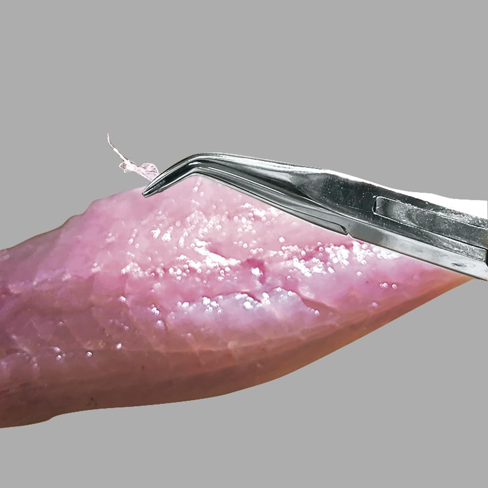 Prox Small Boning Pliers, Fine BladeSilver, PX424FIS