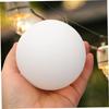 Angoily Spherical Lampshade Decorative Pendant Light Shade Mount Lamp Shades Living Globe Lights Replacement Globe Lamp Shade Round Ceiling Light