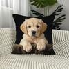 1pc Realistic Golden Retriever Cushion Cover Suitable for Home, Sofa & Bed Decor - Golden Retriever Dog Pillowcase with Zipper Closure, Machine Washab
