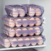 Plastic Refrigerator Egg Organizer 6/15/24 Grids Eggs Case Multipurpose Egg Protector  for Kitchen