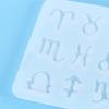 Handmade Resin Jewelry Making Molds Constellations Shape Silicone Pendant Molds Suitable for Necklaces and Earrings
