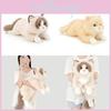 Plush Cat Doll With Pp Cotton Filling For Kids And Adults Snuggling Comfort