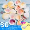 Handmade Decorative Seashells & Starfish for Fish Tanks: Landscaping, Painting, Specimens, Whelks, Hermit Crabs