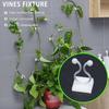 Holder Bracket Wall Vines Fixture Wall Rattan Clamp Plant Climbing Wall Clip Plant Stent Support