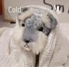 Schnauzer Plush Puppy Doll – Sleeping Pillow & Children's Gift