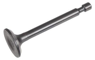 Cedrus Intake/Exhaust Valve Y145V Engine 481359