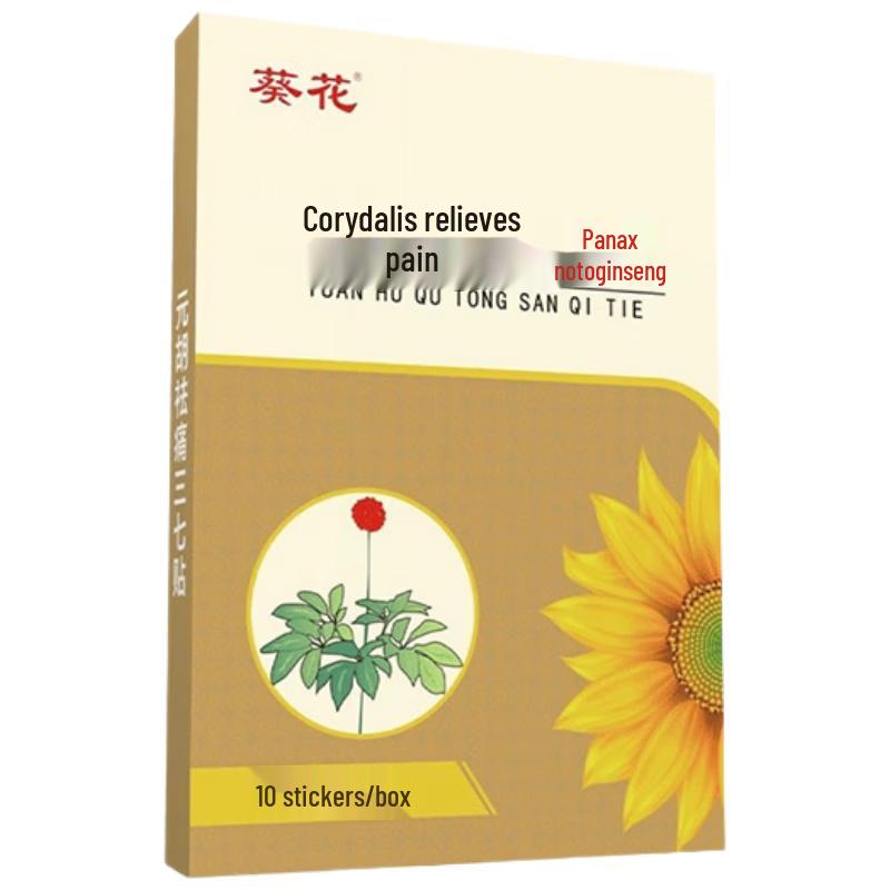 Rhizoma Corydalis & Panax Notoginseng Pain Relief Patch