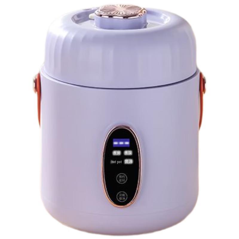 Portable Electric Travel Kettle & Stew Cup