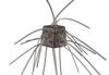 OSP Soft Lure Saikoro Rubber Non Salt 14mm SR-05 (8633)