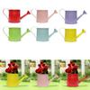 Vintage Iron Watering Can Planter Convenient Metal Container Perfect As a Flower Pots or Office Decoration