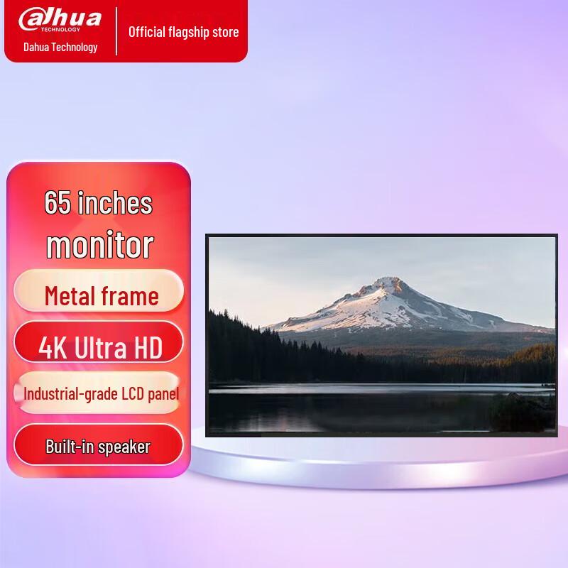 Dahua Professional LED LCD Surveillance Monitor