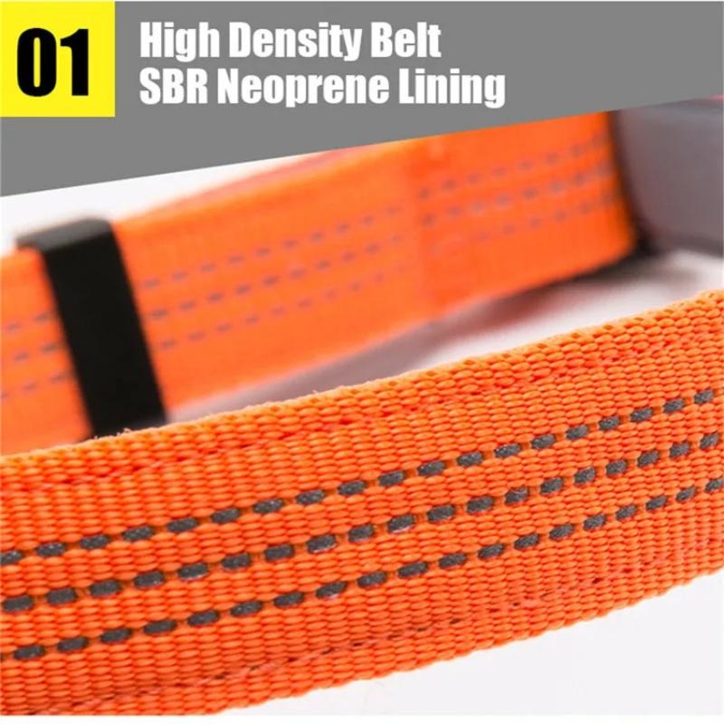 Truelove Hundehalsbänder Set 3M Reflektierendes Halsband für Kleine Mittelgroße Große Hunde Welpen Verstellbar Gepolstert Weiches Nylon Bequem Nacken TLC5271